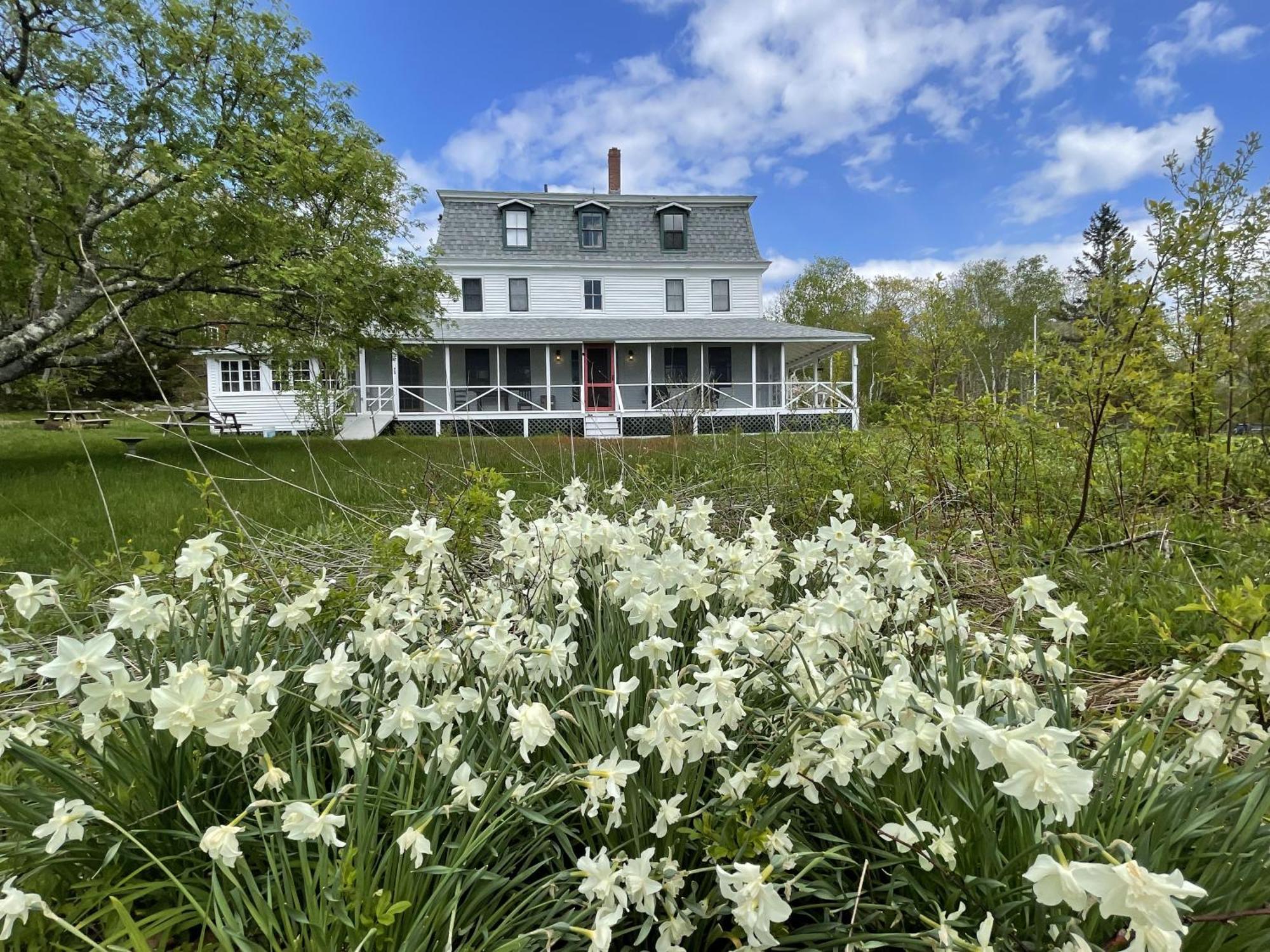 Oakland House Seaside Inn & Cottages Brooksville Exteriér fotografie